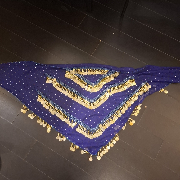 Belly Dance Hip Scarf with Gold Coins - Picture 2 of 4